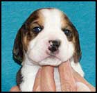 Boy 1 wk3